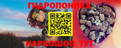 ALPHA PVP Будённовск