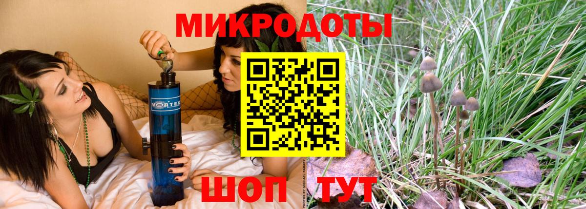 Псилоцибиновые грибы Psilocybe Кохма