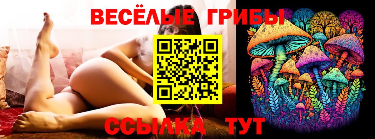Псилоцибиновые грибы Magic Shrooms  Вход с VPN  Кохма 