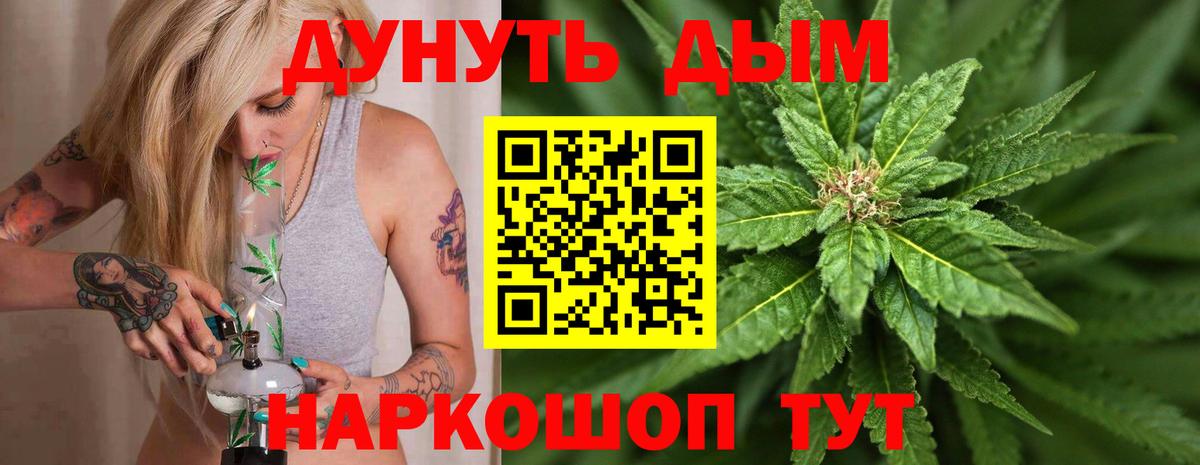Канабис сатива Кохма